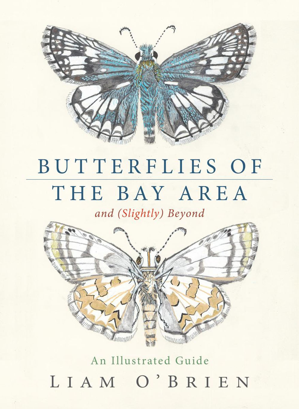 Butterflies of the Bay Area