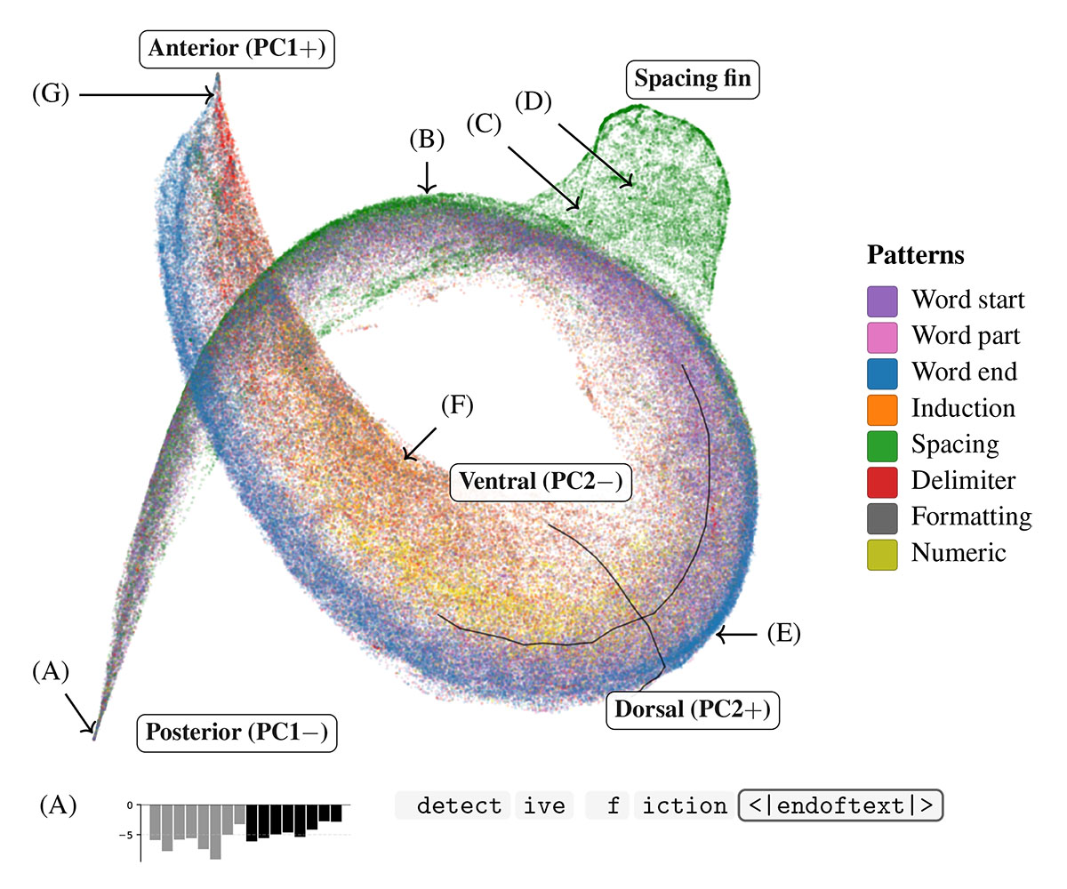 Embryology of a Language Model, 2025, Murfet et al