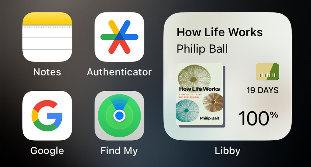 I love the Libby widget!!