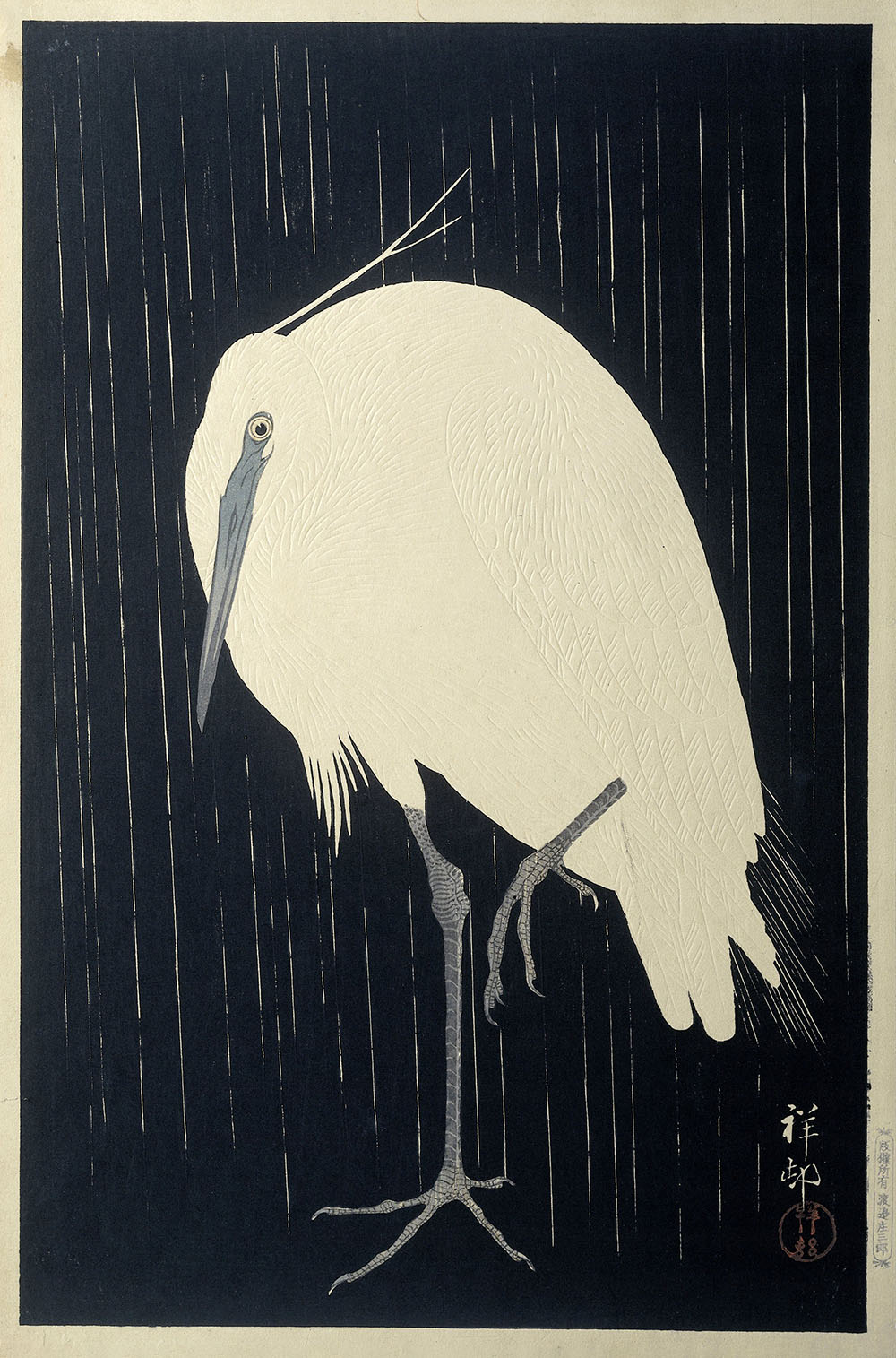 A tall white egret standing against a rainy black sky, staring with one eye.