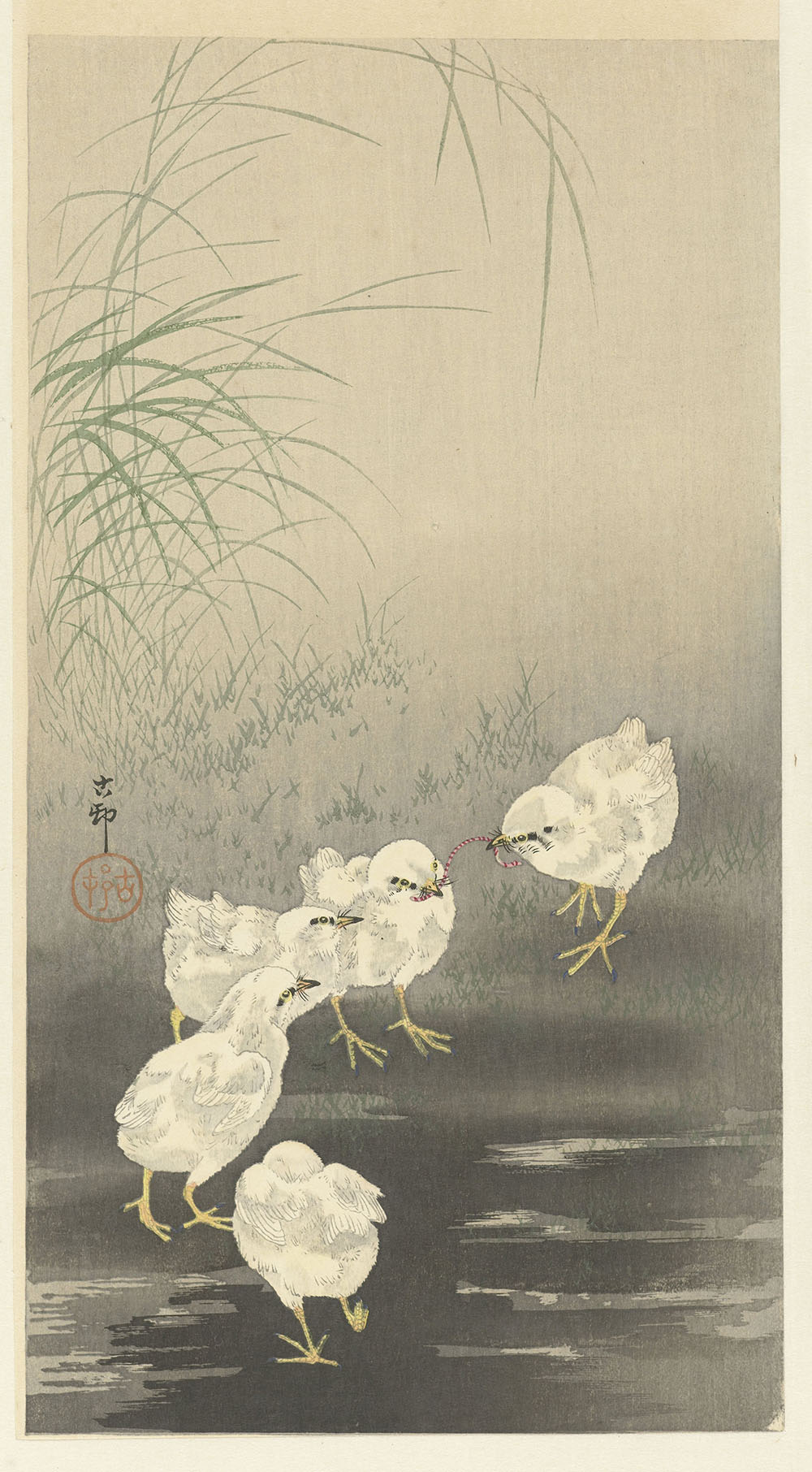 A line of fuzzy little chicks enjoying the meal of a wirggling worm.
