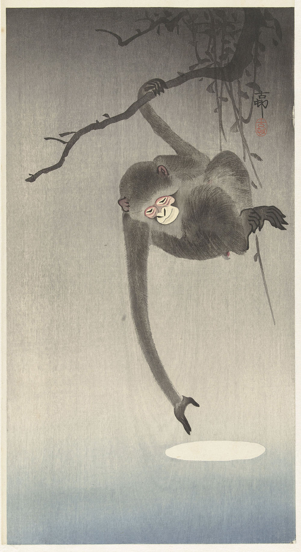 An elegant gray monkey stretching one long arm down to the water, where the moon is reflected.