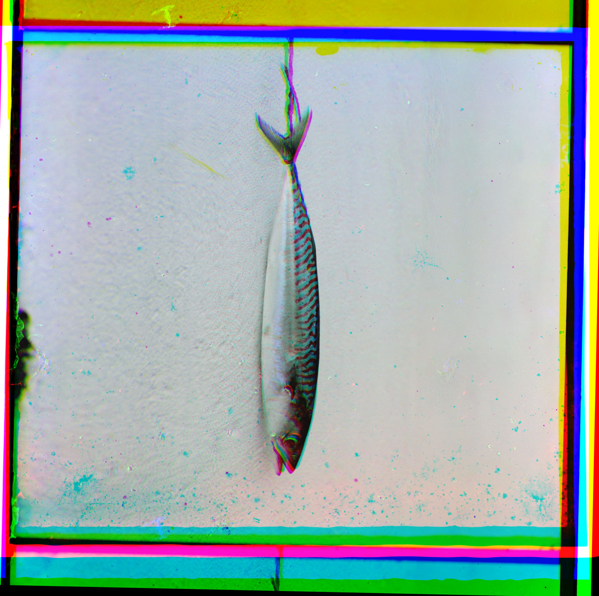 Balamut. Batum, 1905-1915, Sergei Prokudin-Gorsky