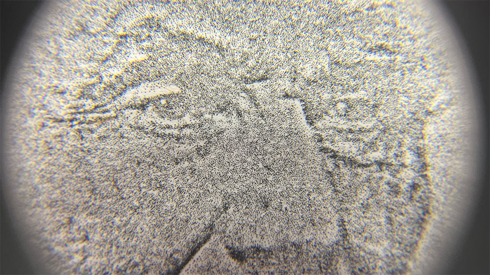 The view through the loupe