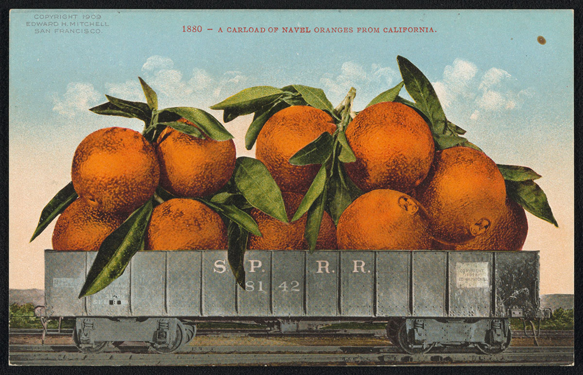 A Carload of Navel Oranges from California, 1909, Edward H. Mitchell