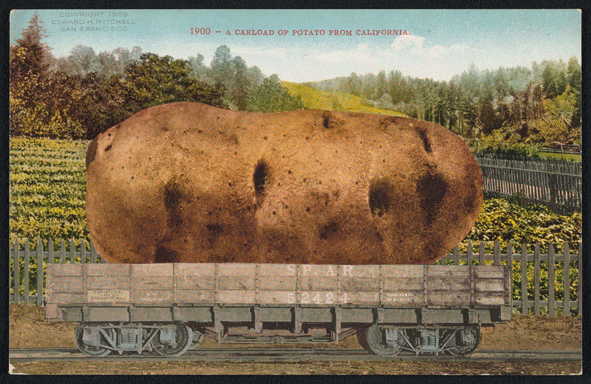A Carload of Potato from California, 1909, Edward H. Mitchell